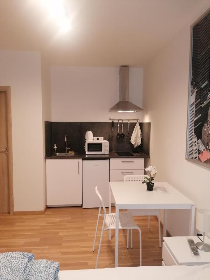 Studio Brand New Apartment #28 In New Building With Free Parking In City Center Πράγα Εξωτερικό φωτογραφία